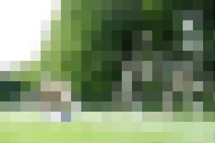 Bruningsstraat 17 Nieuwveen thumbnail 84