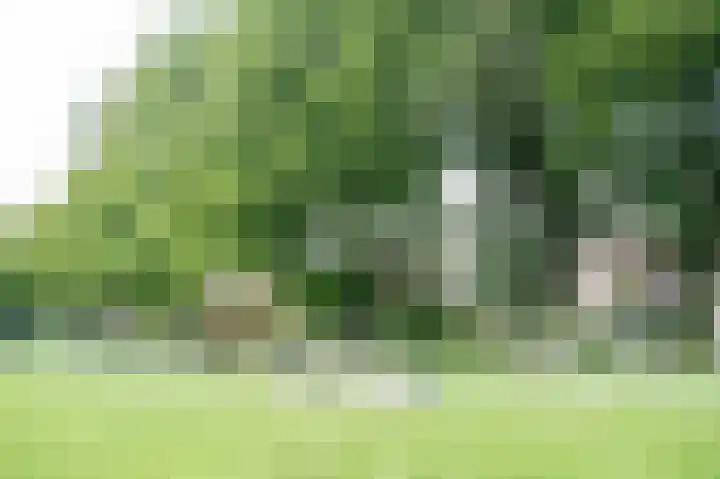 Bruningsstraat 17 Nieuwveen thumbnail 85
