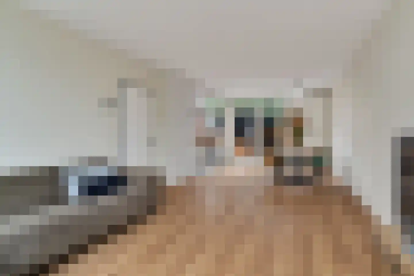 Brunita J. Gemmekelaan 43 Voorschoten thumbnail 17