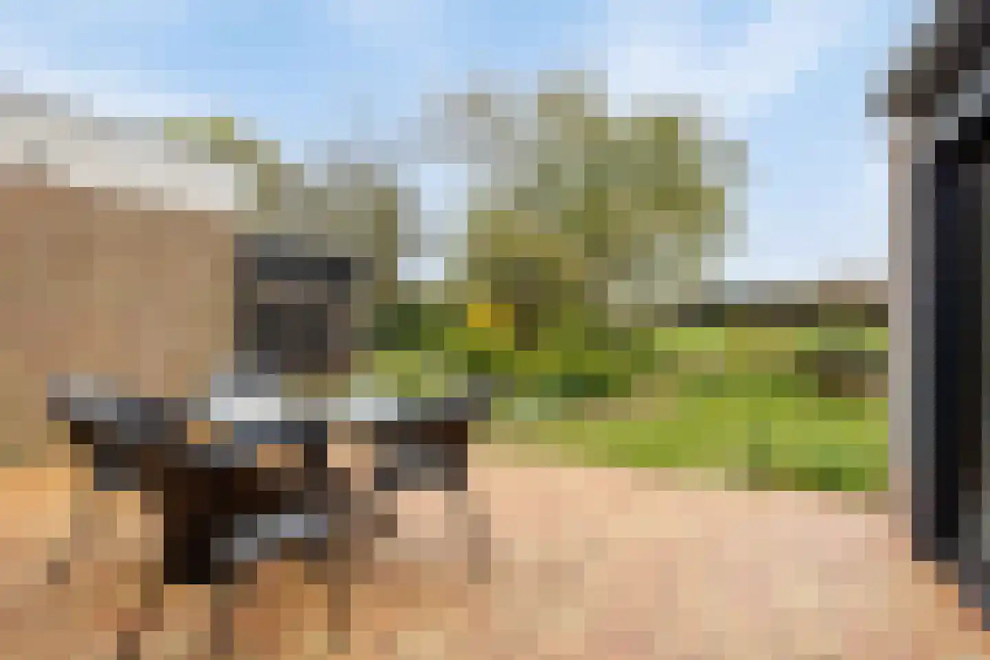 Brunita J. Gemmekelaan 70 Voorschoten thumbnail 56