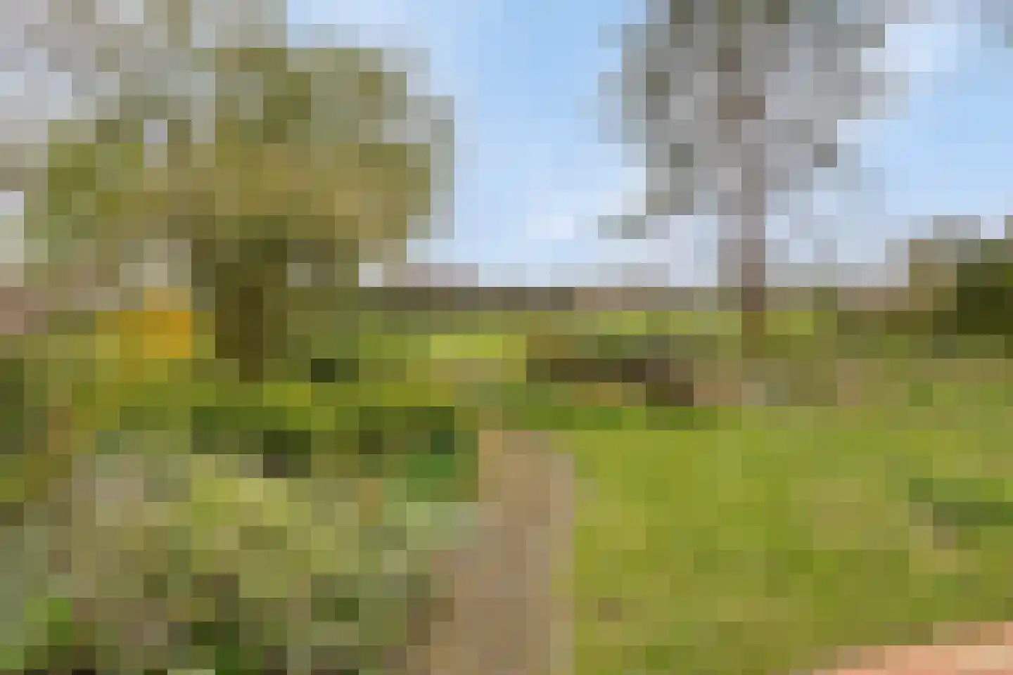 Brunita J. Gemmekelaan 70 Voorschoten thumbnail 58
