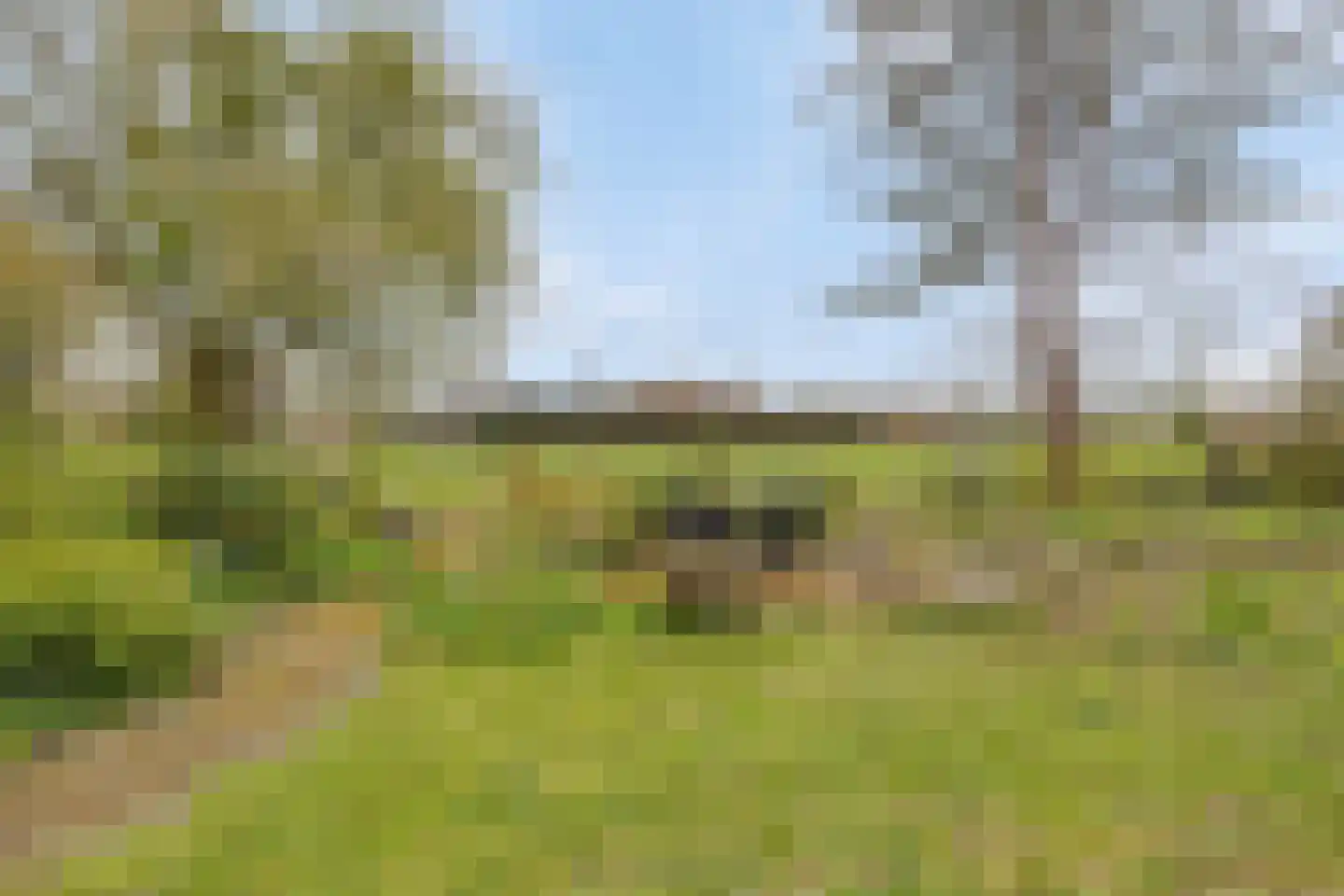 Brunita J. Gemmekelaan 70 Voorschoten thumbnail 59