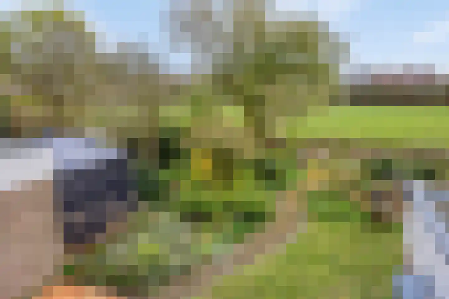 Brunita J. Gemmekelaan 70 Voorschoten thumbnail 69