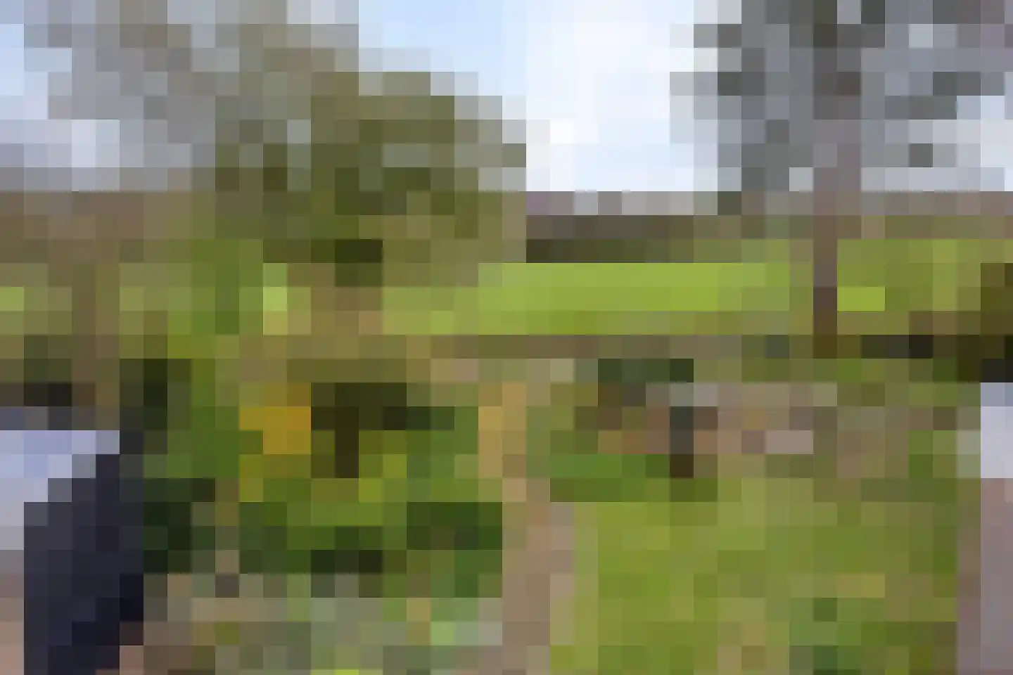 Brunita J. Gemmekelaan 70 Voorschoten thumbnail 70