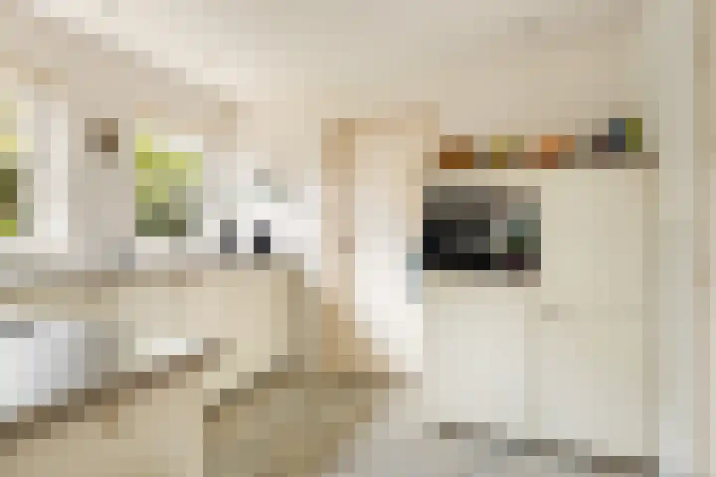 Bruno Fabriciusstraat 43 Putten thumbnail 19