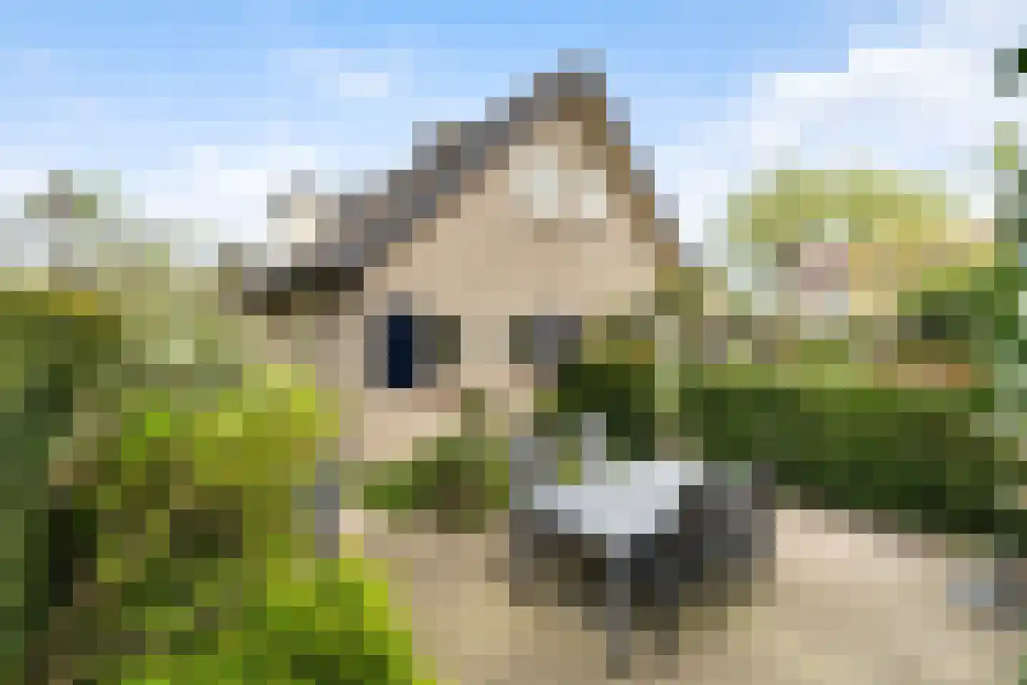 Bruno Fabriciusstraat 43 Putten thumbnail 29