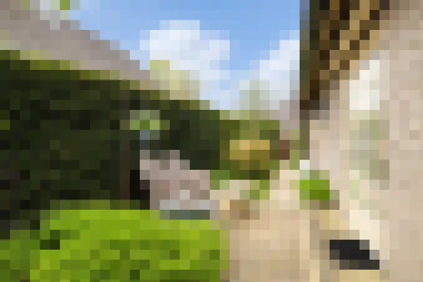 Bruno Fabriciusstraat 43 Putten thumbnail 31