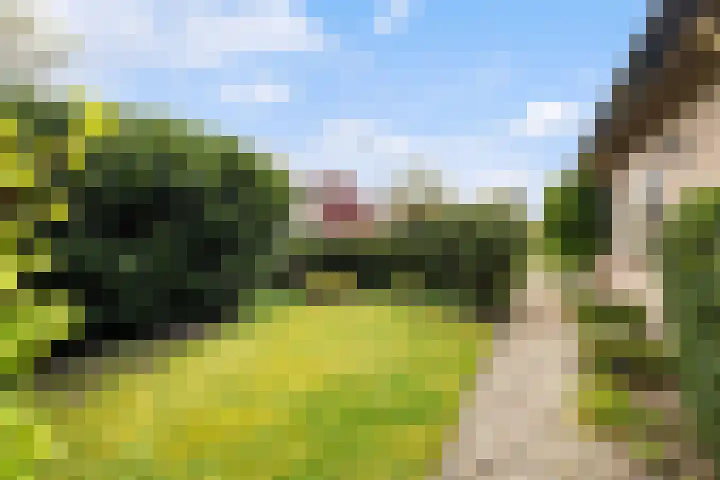 Bruno Fabriciusstraat 43 Putten thumbnail 39