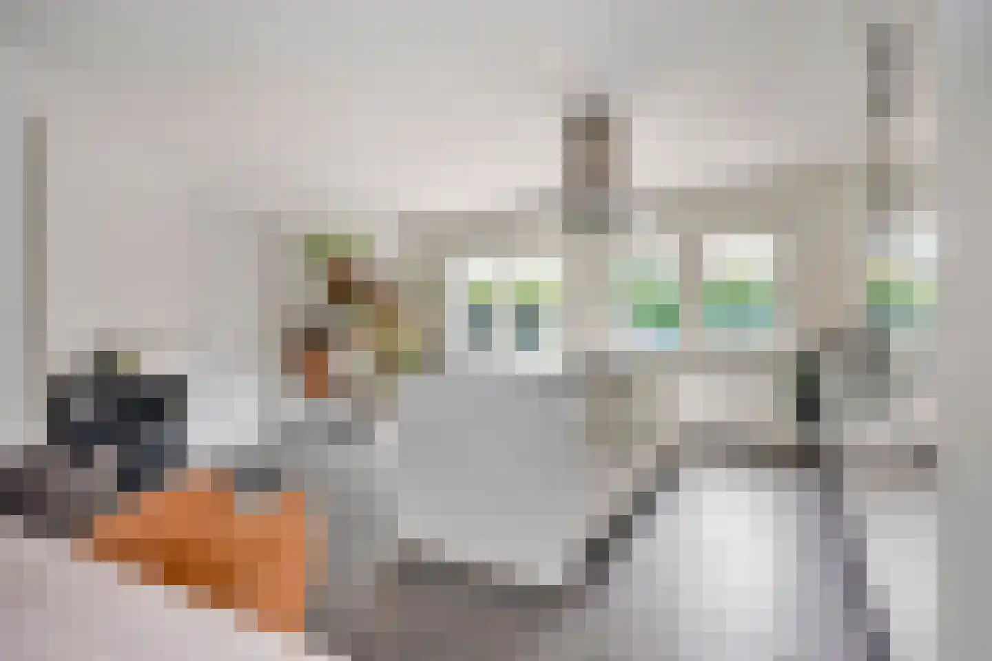 Bruno Heisterdreef 10 Sittard thumbnail 14