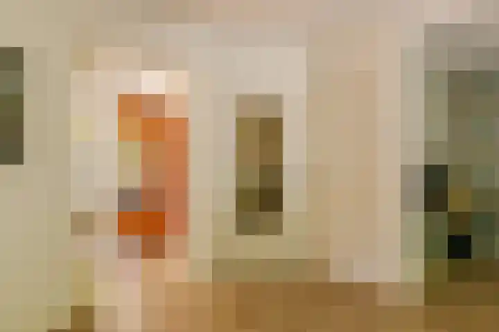 Bruno Klauwersstraat 10 Santpoort-Zuid thumbnail 10