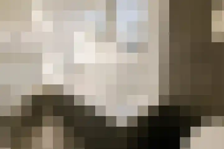 Bruno Klauwersstraat 10 Santpoort-Zuid thumbnail 35