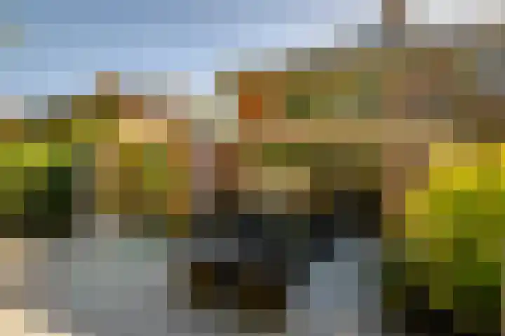 Bruno Klauwersstraat 10 Santpoort-Zuid thumbnail 4