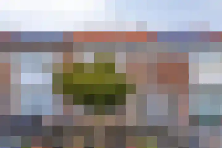 Bruno Renardstraat 13 Breda