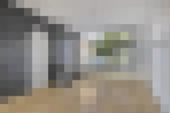 Bruno Renardstraat 13 Breda thumbnail 10