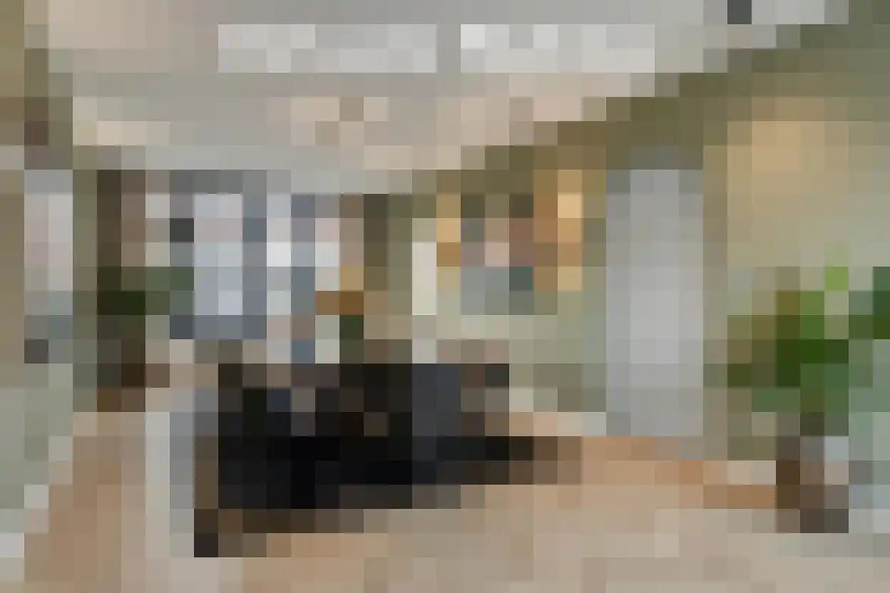 Bruno Renardstraat 13 Breda thumbnail 17