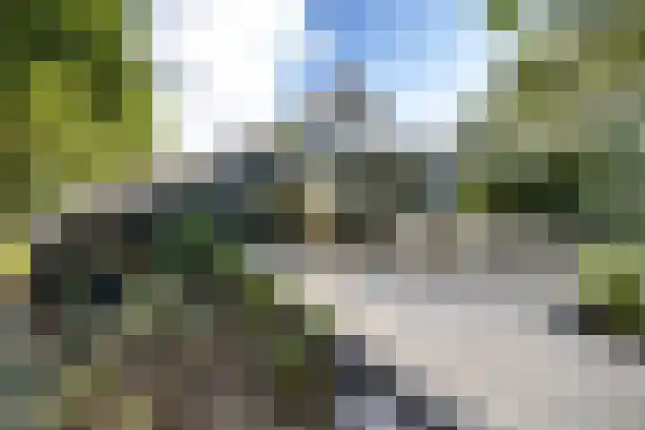 Bruno Renardstraat 13 Breda thumbnail 22