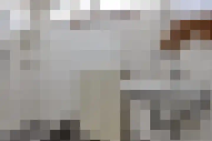 Bruno Renardstraat 13 Breda thumbnail 31