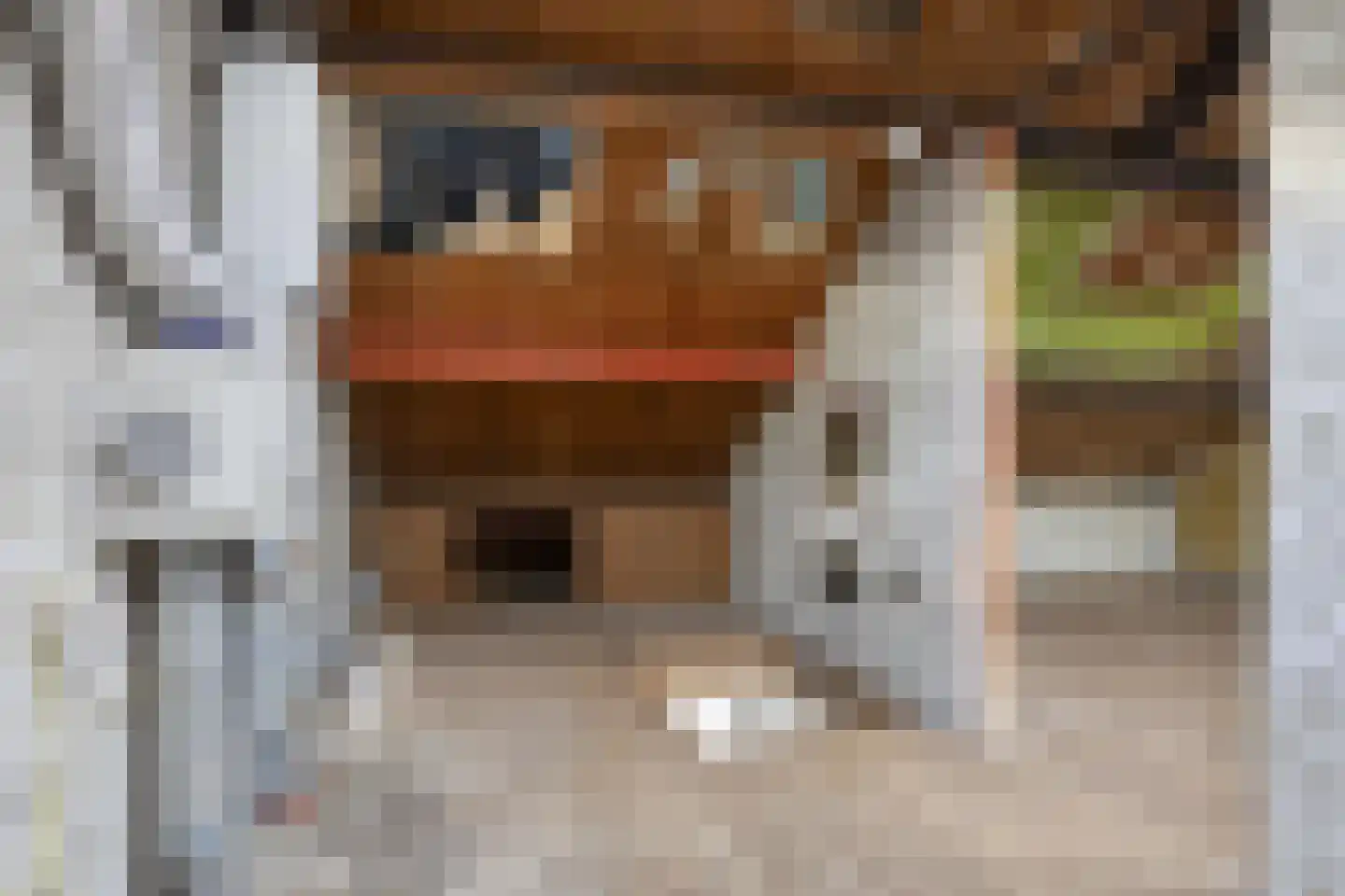 Bruno Renardstraat 13 Breda thumbnail 41