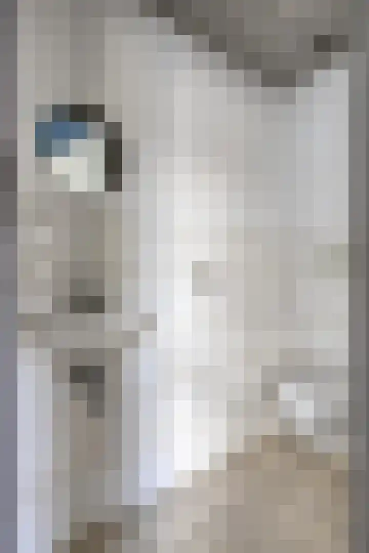 Bruno Renardstraat 13 Breda thumbnail 9