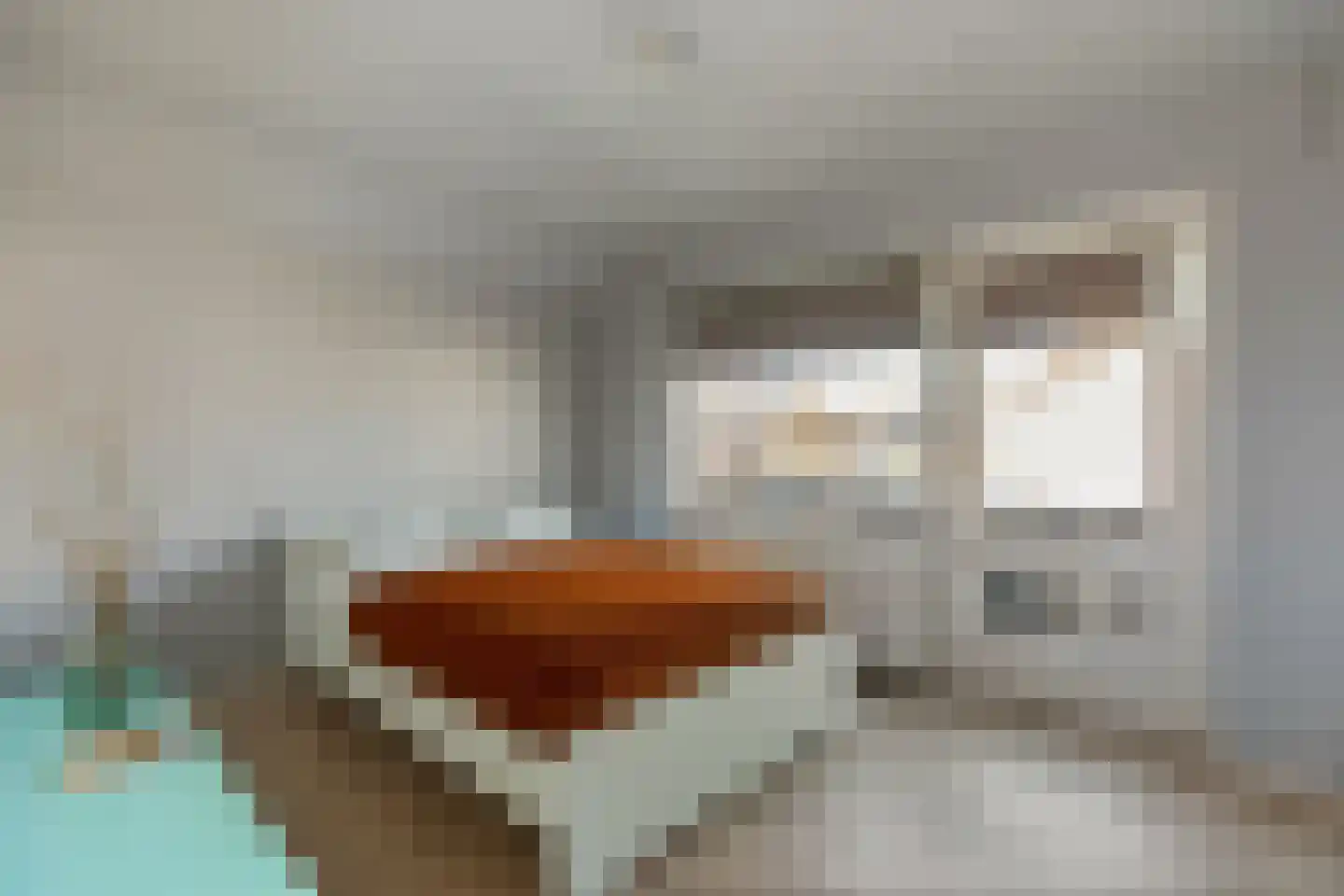 Bruno van Ommenstraat 1 Tubbergen thumbnail 13