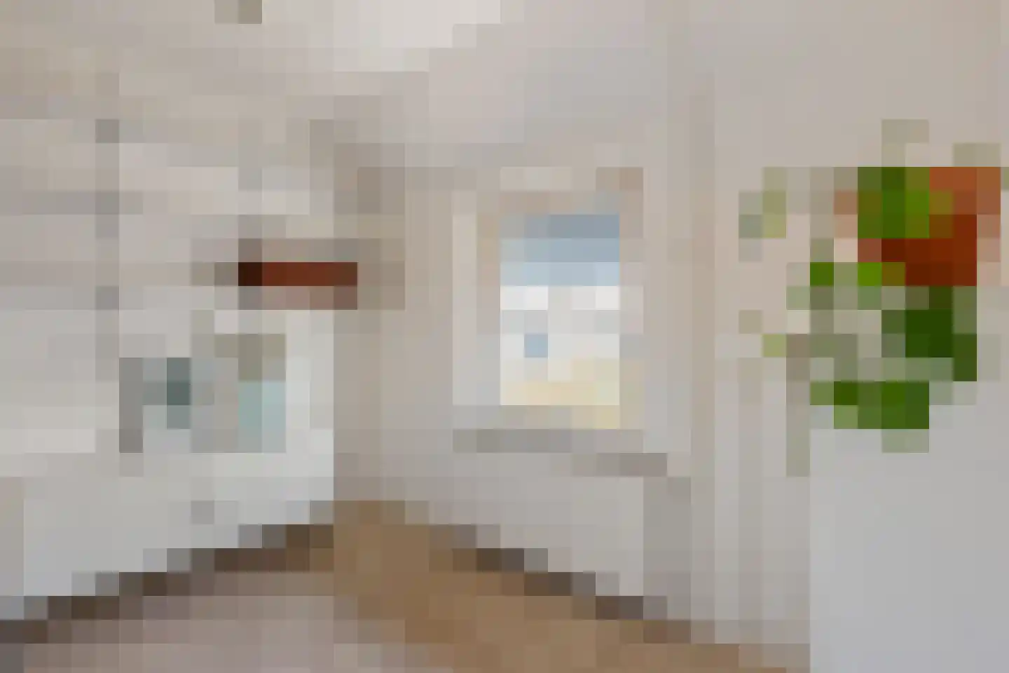 Bruno van Ommenstraat 1 Tubbergen thumbnail 15
