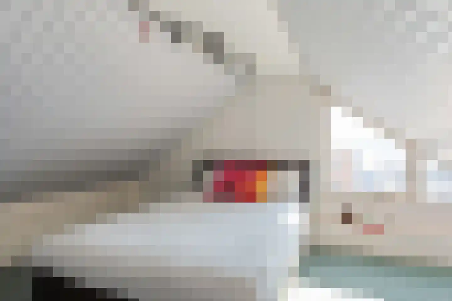 Bruno van Ommenstraat 1 Tubbergen thumbnail 16