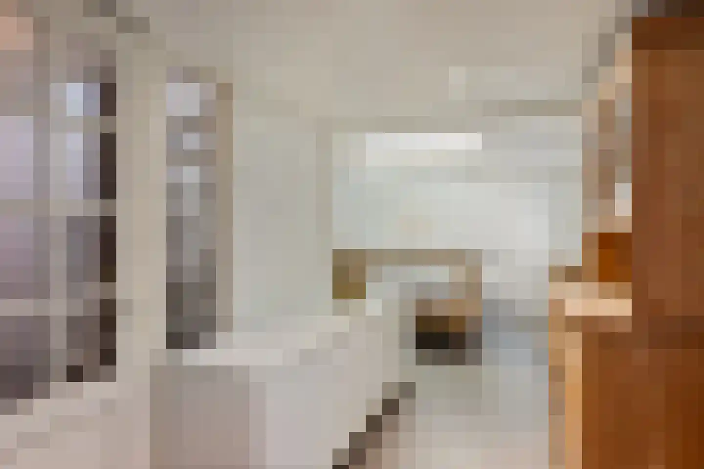 Bruno van Ommenstraat 1 Tubbergen thumbnail 17