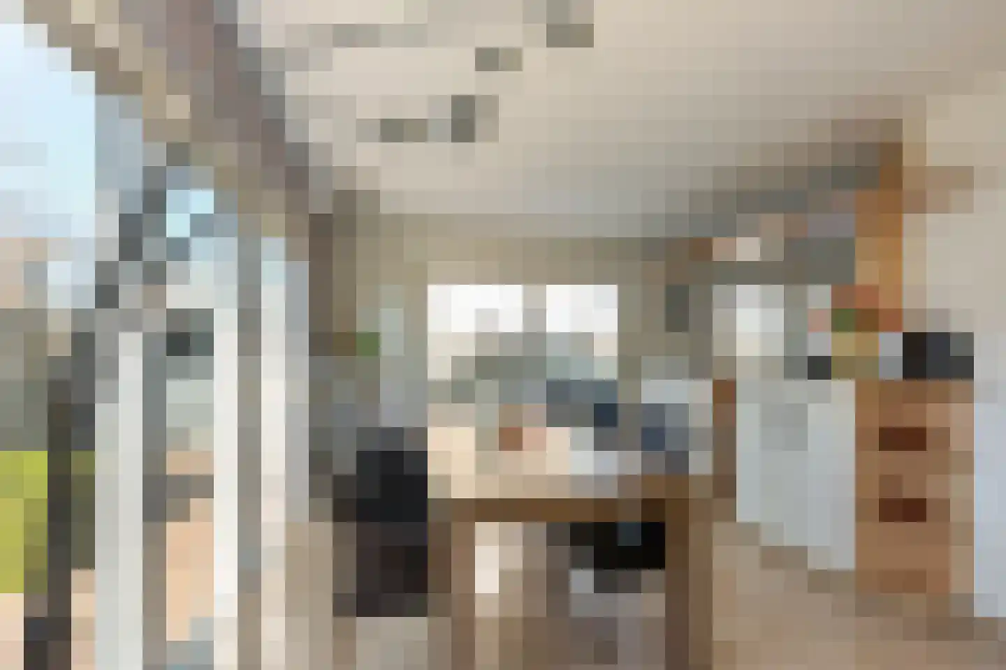 Bruno van Ommenstraat 1 Tubbergen thumbnail 9