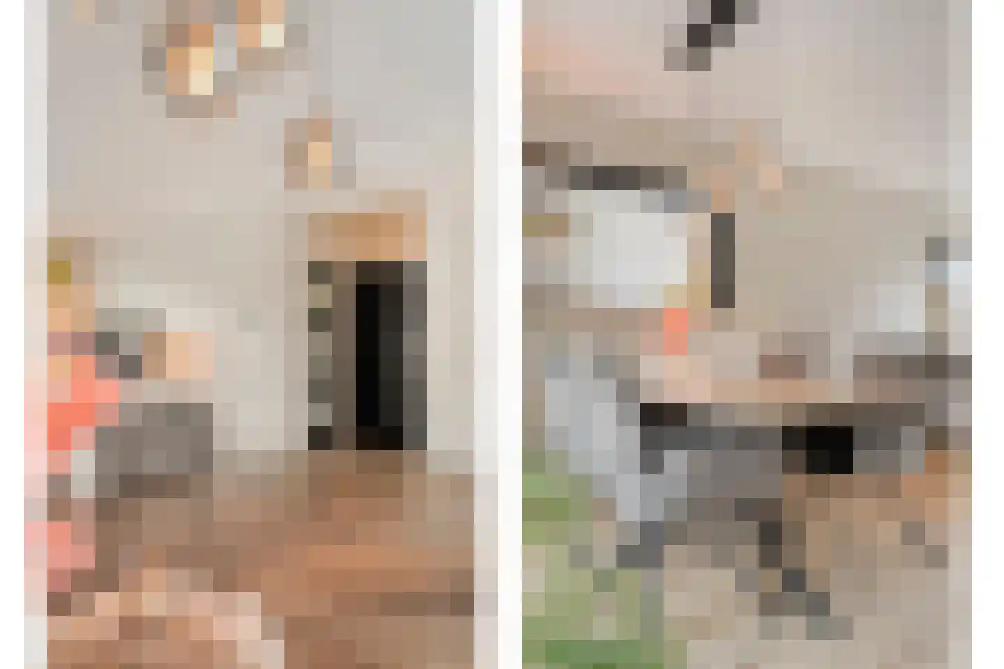 Bruno van Ommenstraat 13 Tubbergen thumbnail 11