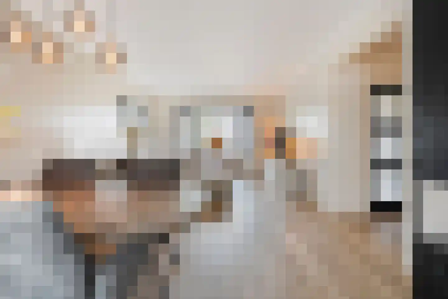 Bruno van Ommenstraat 13 Tubbergen thumbnail 12