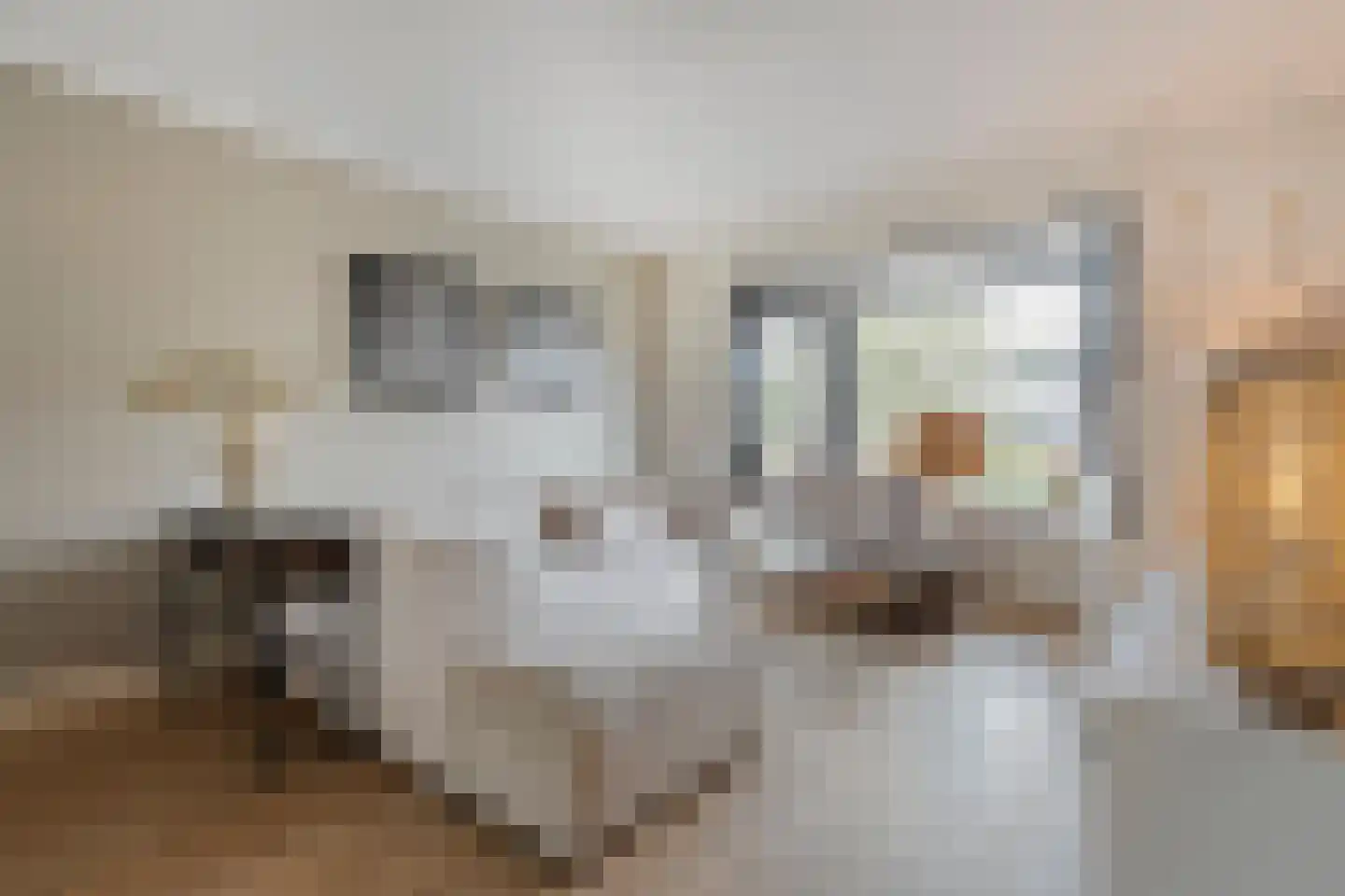 Bruno van Ommenstraat 13 Tubbergen thumbnail 13