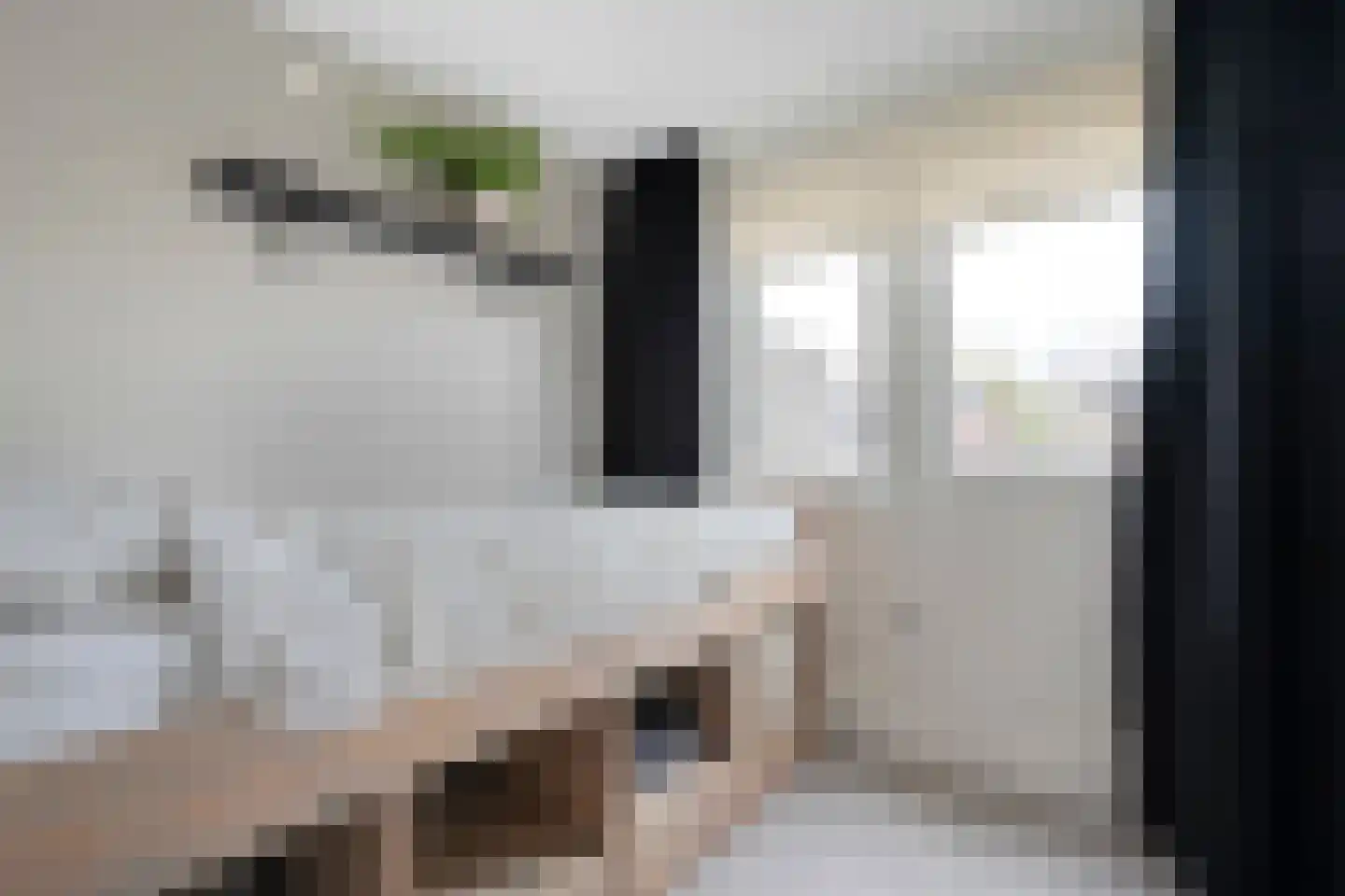 Bruno van Ommenstraat 13 Tubbergen thumbnail 18