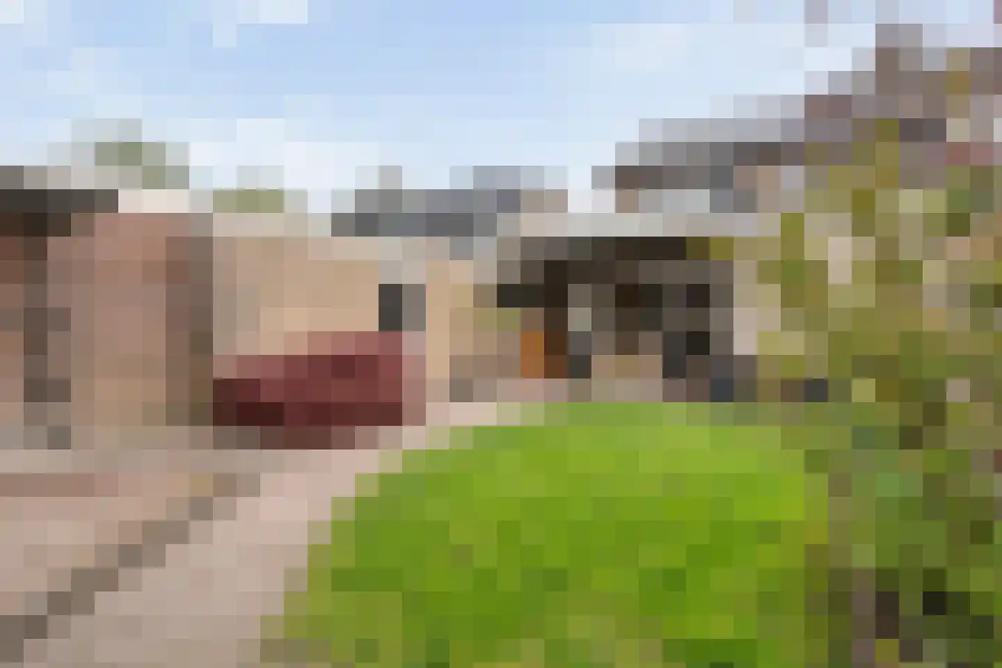Bruno van Ommenstraat 13 Tubbergen thumbnail 23