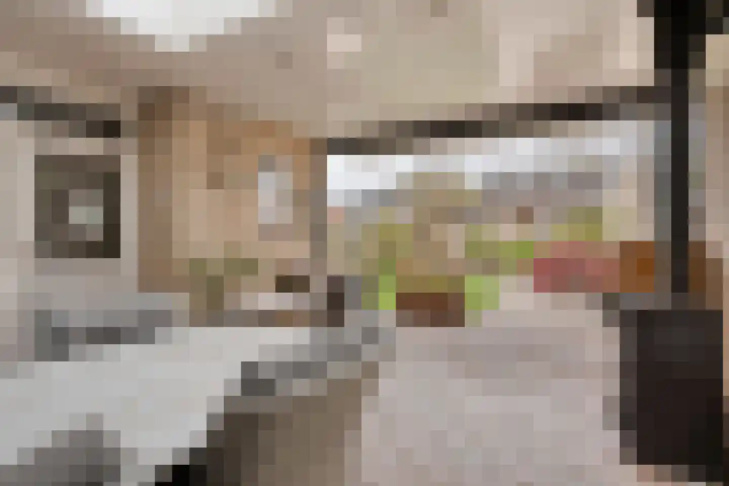 Bruno van Ommenstraat 13 Tubbergen thumbnail 24