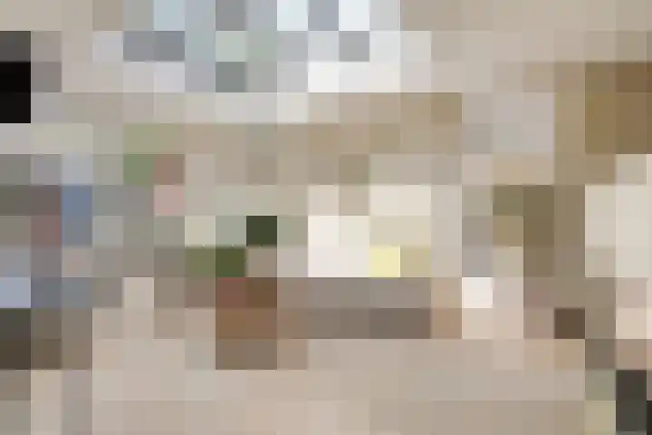 Bruno van Ommenstraat 27 Tubbergen thumbnail 12