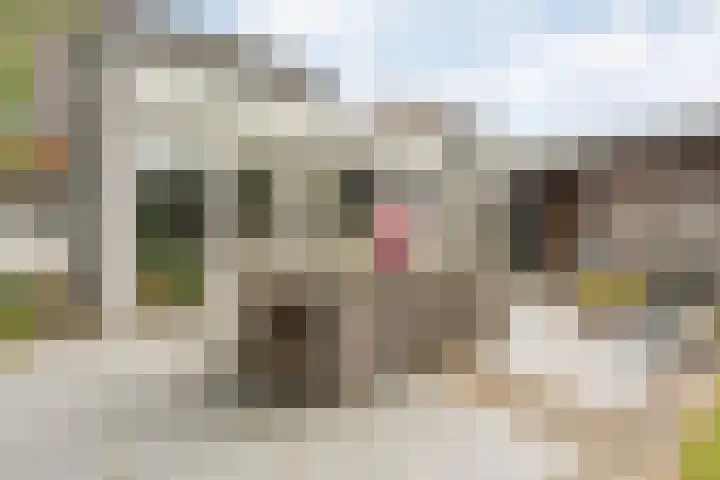 Bruno van Ommenstraat 27 Tubbergen thumbnail 21