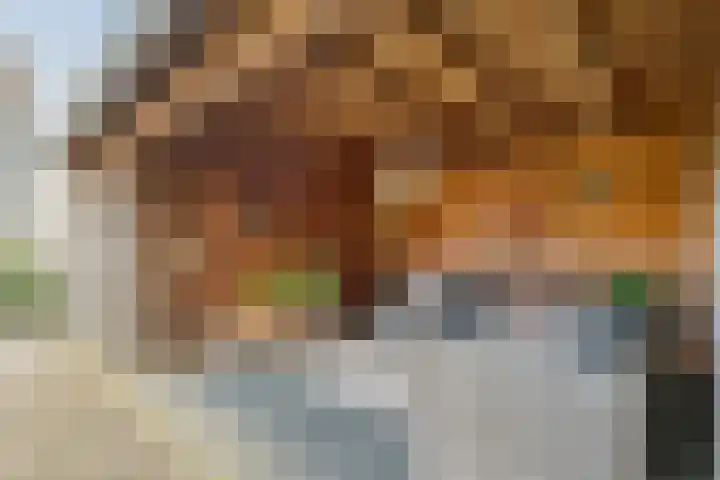 Bruno van Ommenstraat 27 Tubbergen thumbnail 22