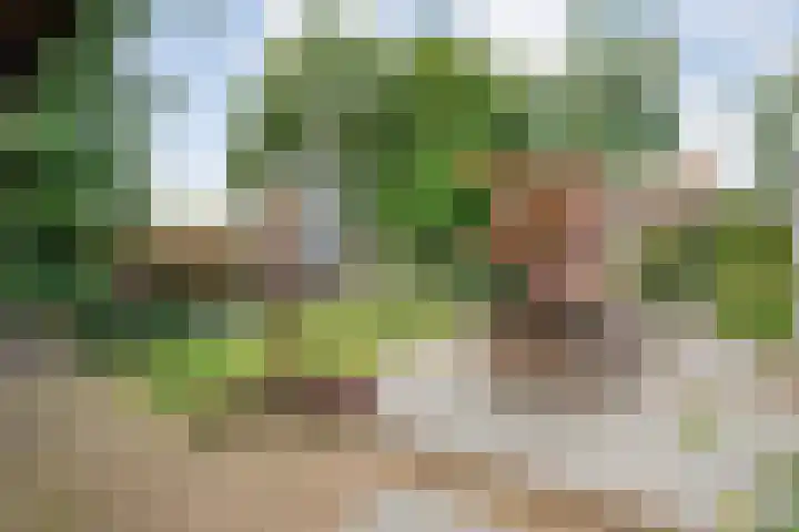 Bruno van Ommenstraat 27 Tubbergen thumbnail 24