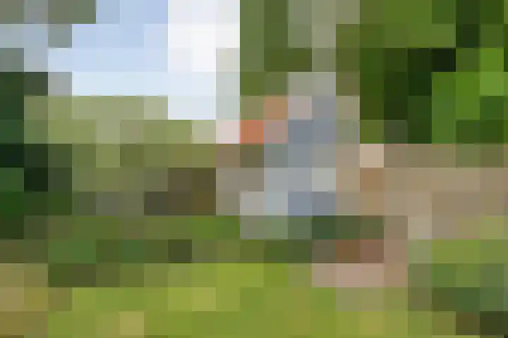 Bruno van Ommenstraat 27 Tubbergen thumbnail 25