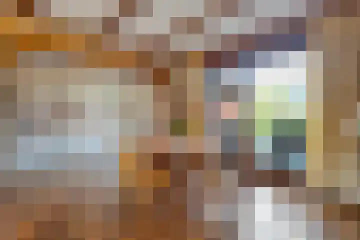 Bruno van Ommenstraat 9 Tubbergen thumbnail 10