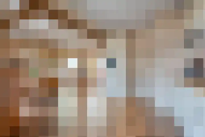 Bruno van Ommenstraat 9 Tubbergen thumbnail 11