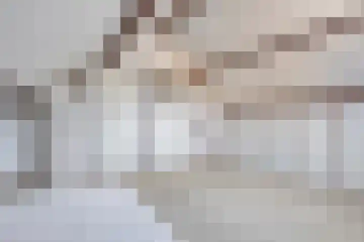 Bruno van Ommenstraat 9 Tubbergen thumbnail 23