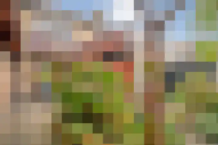 Bruno van Ommenstraat 9 Tubbergen thumbnail 25
