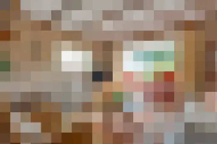 Bruno van Ommenstraat 9 Tubbergen thumbnail 9