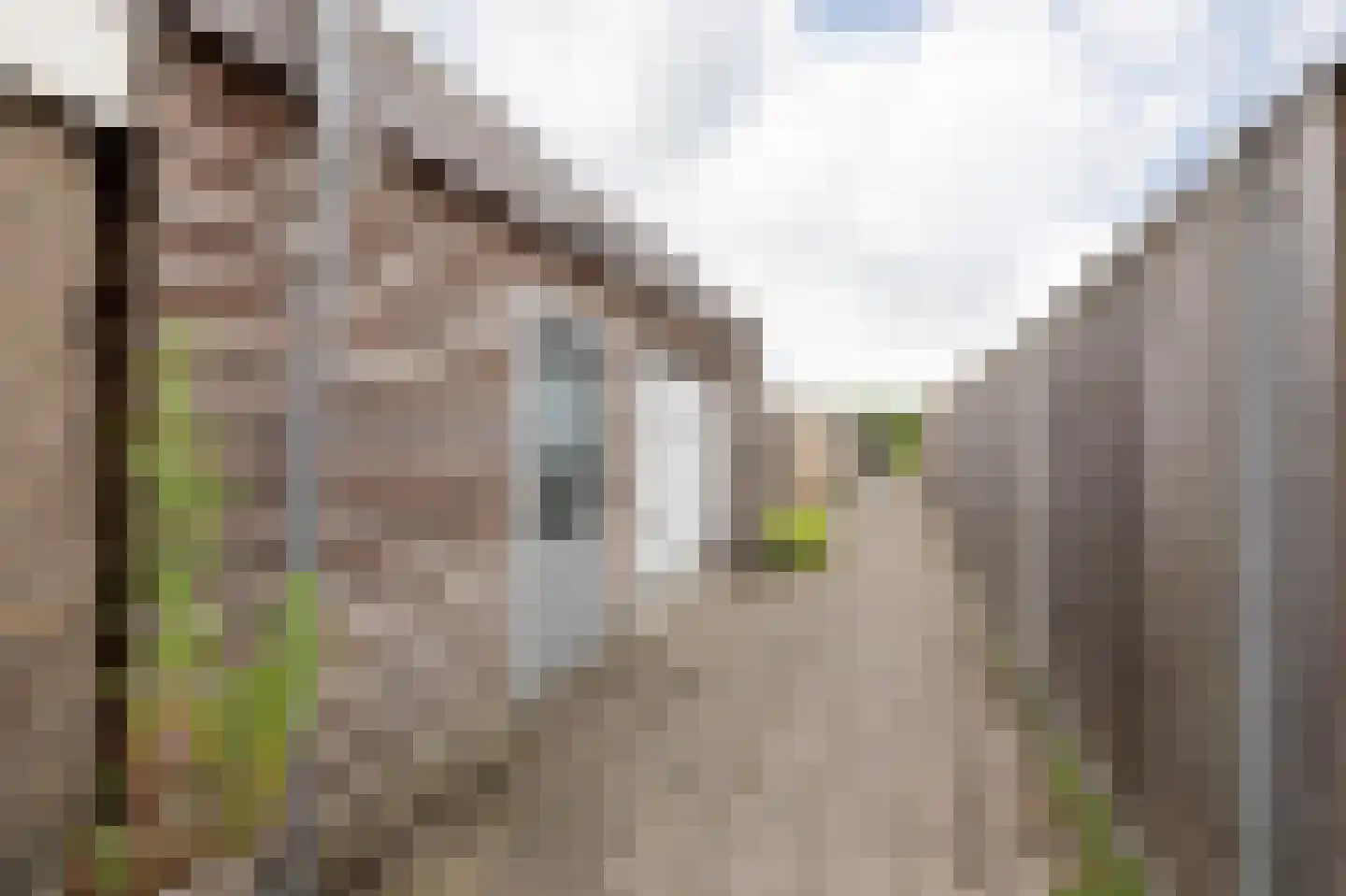 Brunostraat 14 Bolsward thumbnail 42