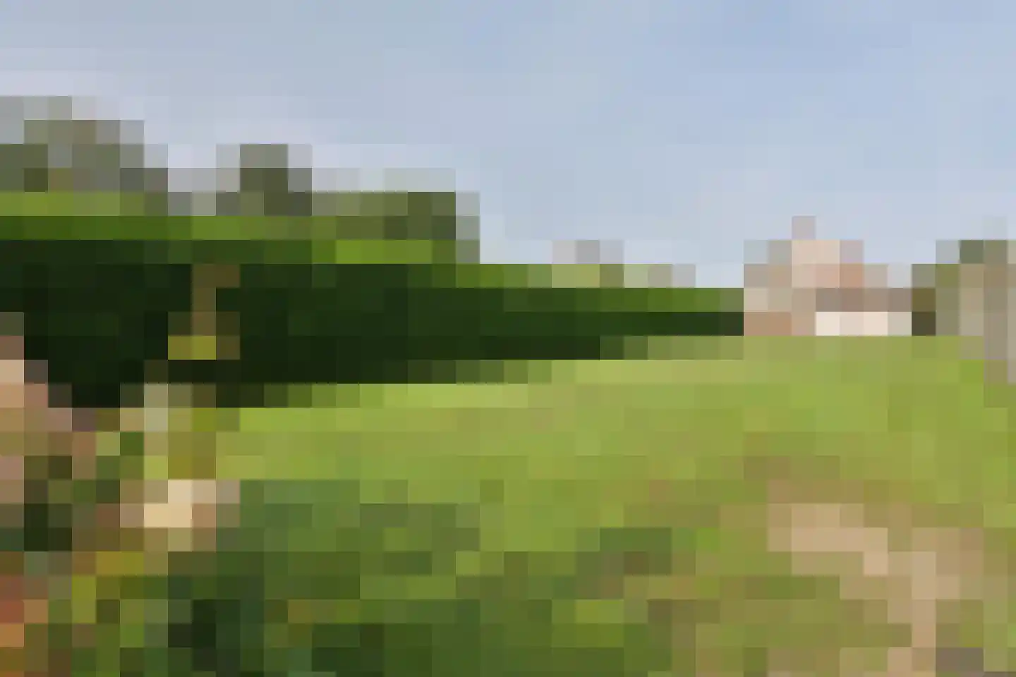 Brunssummerstraat 26 a Schinveld thumbnail 24