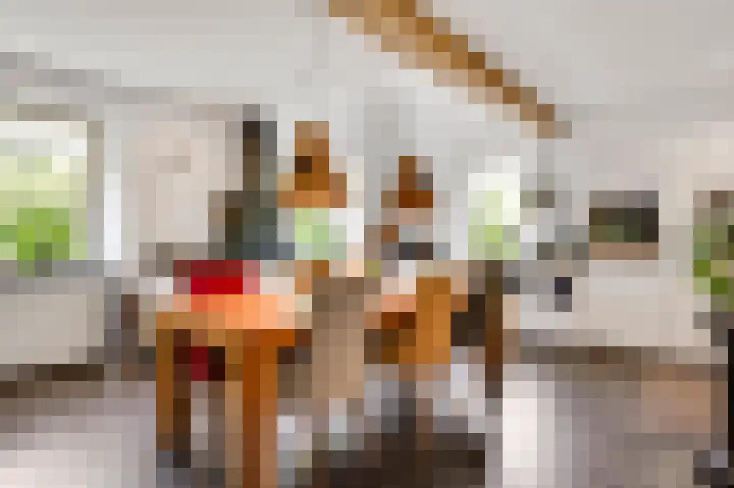 Brunssummerstraat 46 Schinveld thumbnail 14