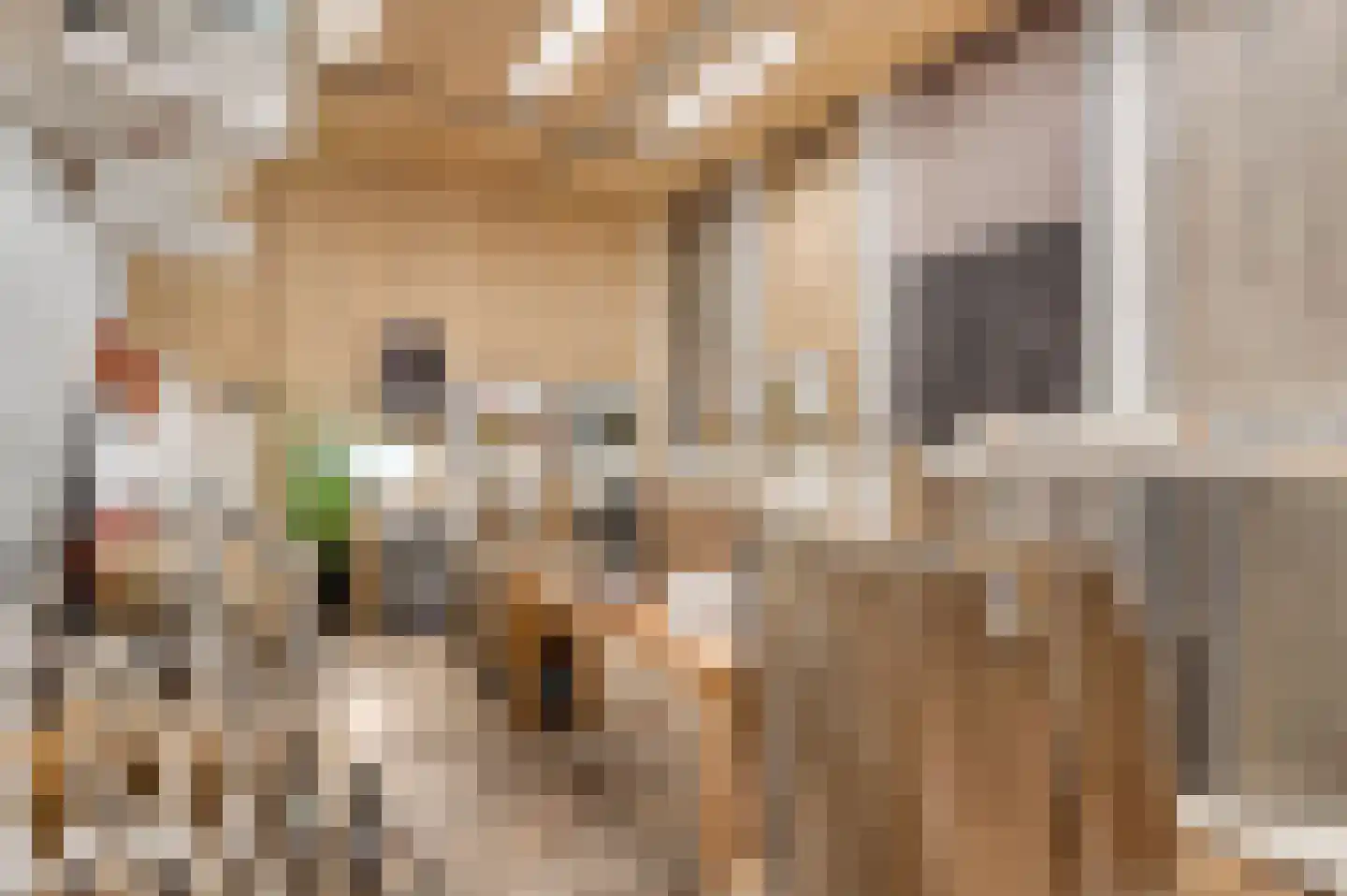 Brunssummerstraat 46 Schinveld thumbnail 45
