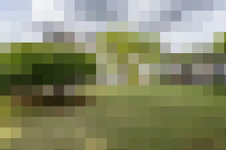 Brunssummerweg 13 Landgraaf thumbnail 25
