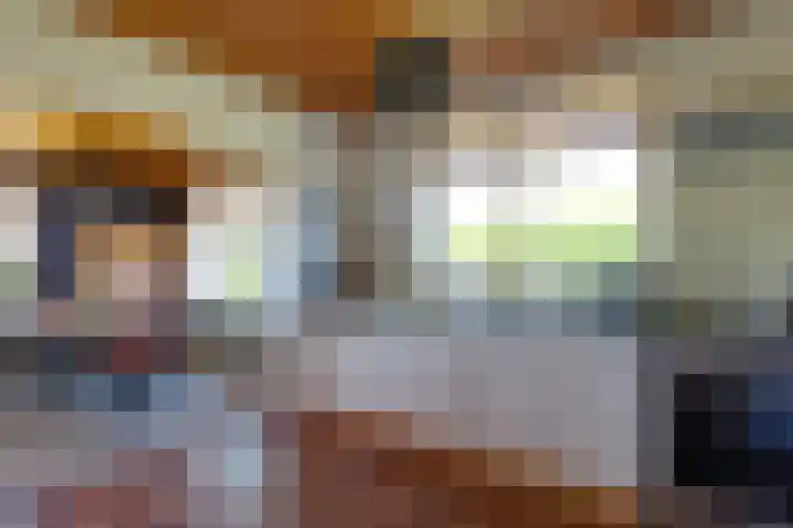 Brunsting 7 Beilen thumbnail 11